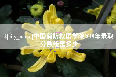 仁寿中国消防救援学院2019年录取分数线是多少