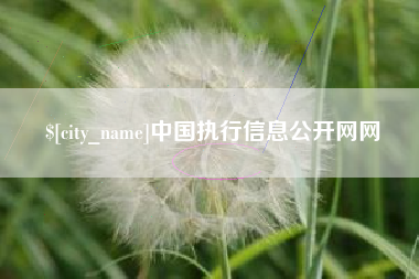 仁寿中国执行信息公开网网