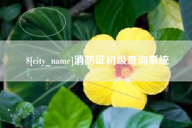 仁寿消防证初级查询系统