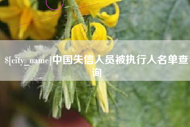 仁寿中国失信人员被执行人名单查询