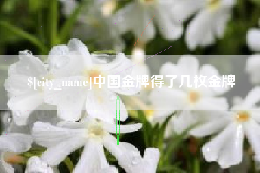 仁寿中国金牌得了几枚金牌