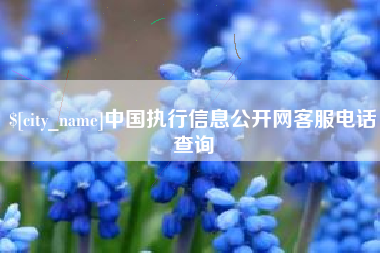 仁寿中国执行信息公开网客服电话查询