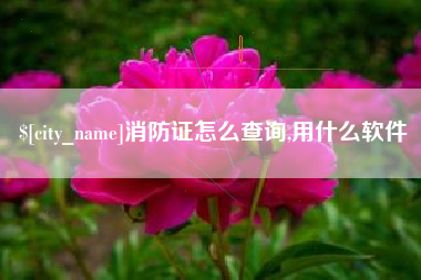 仁寿消防证怎么查询,用什么软件