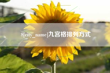 仁寿九宫格排列方式