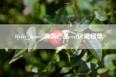 仁寿消防产品cccf认证目录