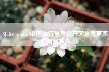 仁寿中国执行信息公开网信息更新时间是多久
