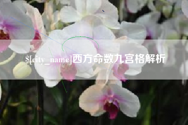 仁寿西方命数九宫格解析