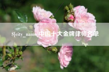 仁寿中国十大金牌律师名单