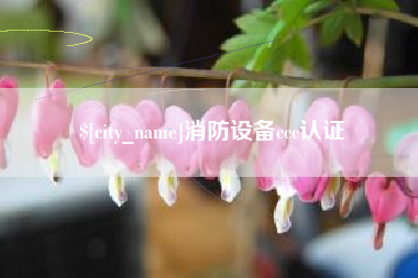 仁寿消防设备ccc认证