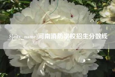 仁寿河南消防学校招生分数线