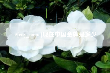 仁寿现在中国金牌是多少