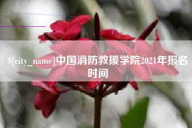 仁寿中国消防救援学院2021年报名时间