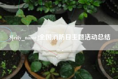 仁寿全国消防日主题活动总结