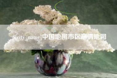 仁寿中国地图市区高清地图