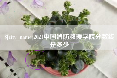 仁寿2021中国消防救援学院分数线是多少