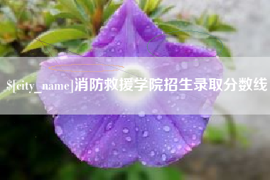 仁寿消防救援学院招生录取分数线