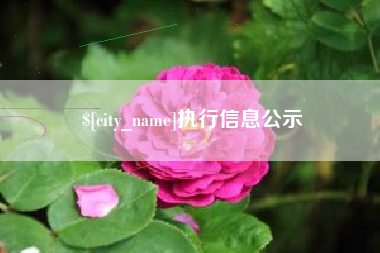 仁寿执行信息公示