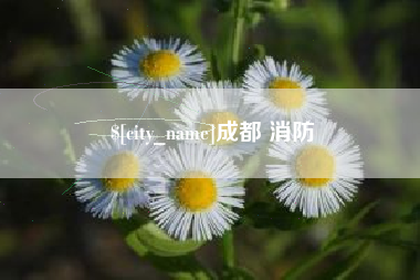 仁寿成都 消防