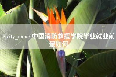 仁寿中国消防救援学院毕业就业前景如何