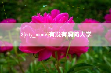 仁寿有没有消防大学