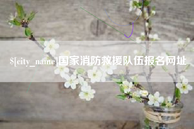 仁寿国家消防救援队伍报名网址