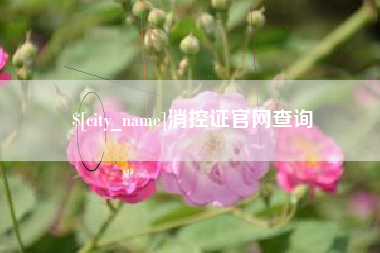 仁寿消控证官网查询
