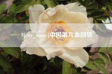 仁寿中国第九金回放
