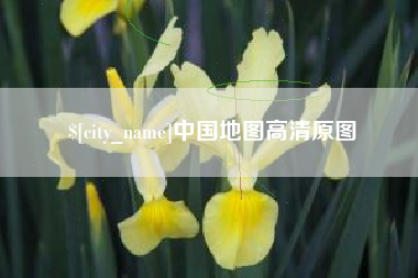 仁寿中国地图高清原图