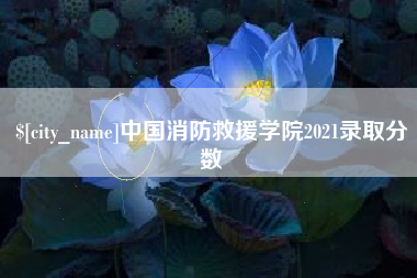 仁寿中国消防救援学院2021录取分数