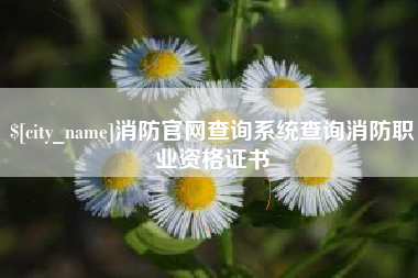 仁寿消防官网查询系统查询消防职业资格证书