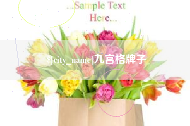 仁寿九宫格牌子
