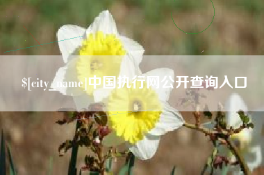 仁寿中国执行网公开查询入口