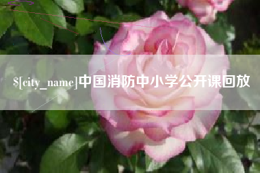 仁寿中国消防中小学公开课回放