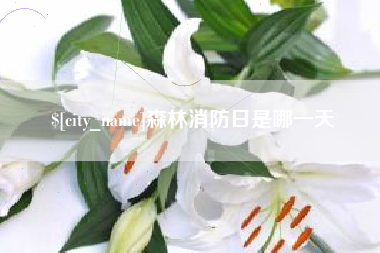 仁寿森林消防日是哪一天