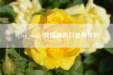 仁寿我国消防日是每年的