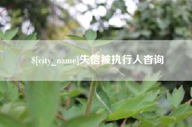 仁寿失信被执行人杳询