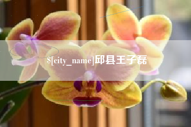 仁寿邱县王子磊