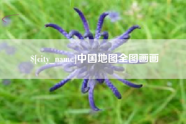 仁寿中国地图全图画画