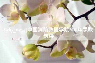 仁寿中国消防救援学院2020年录取结果