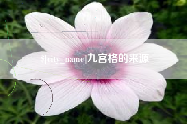 仁寿九宫格的来源