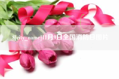 仁寿11月9日全国消防日图片