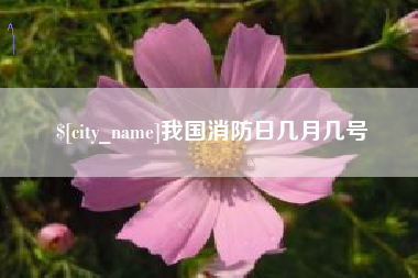 仁寿我国消防日几月几号