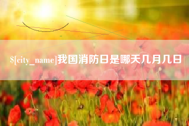 仁寿我国消防日是哪天几月几日
