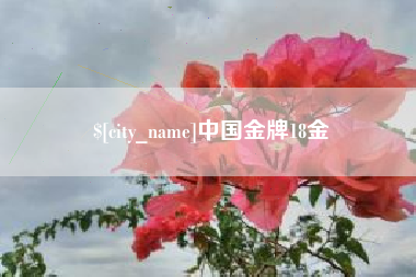 仁寿中国金牌18金