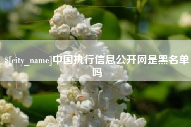 仁寿中国执行信息公开网是黑名单吗