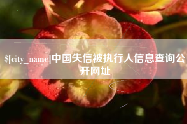 仁寿中国失信被执行人信息查询公开网址