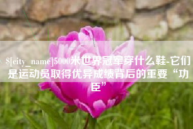 仁寿5000米世界冠军穿什么鞋-它们是运动员取得优异成绩背后的重要“功臣”