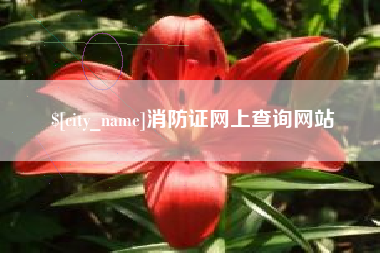仁寿消防证网上查询网站