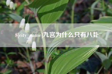 仁寿九宫为什么只有八卦