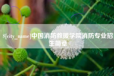仁寿中国消防救援学院消防专业招生简章